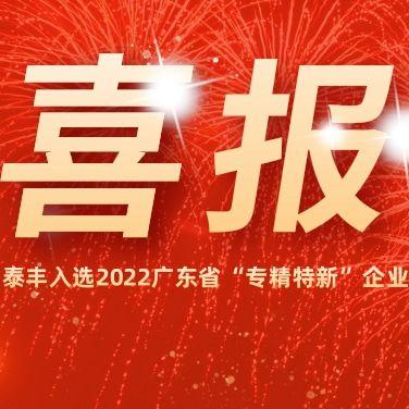 熱烈祝賀泰豐空調(diào)入選2022廣東省“專精特新”企業(yè)！
